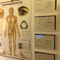 Zertifikate von Antonia Pichler